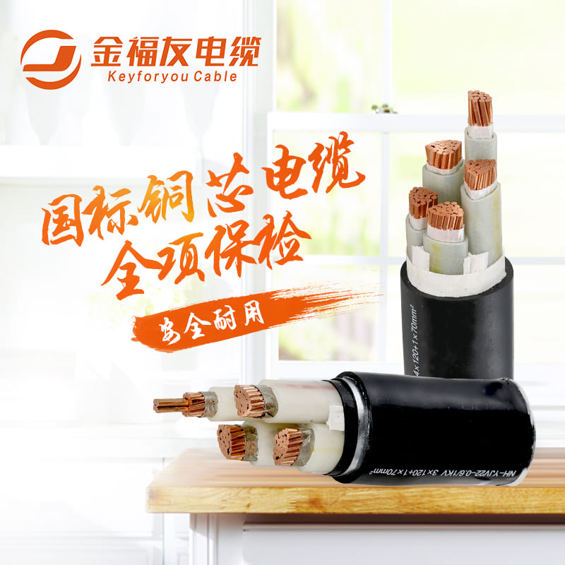 金福友國標(biāo)銅芯電纜，全項(xiàng)保檢